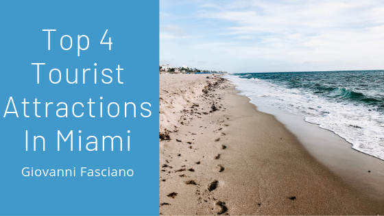 Top 4 Tourist Attractions In Miami